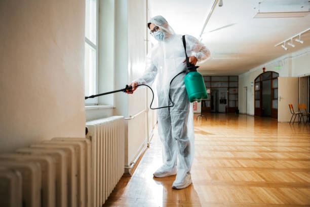 Best Ant Control Services  in Volcano Golf Course, HI
